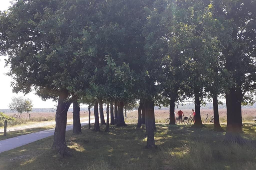Drentse Bungalow In Natuur En Rust Spier Exteriér fotografie