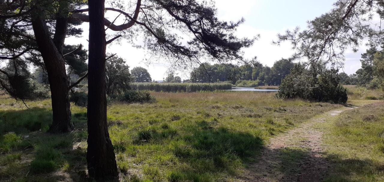Drentse Bungalow In Natuur En Rust Spier Exteriér fotografie