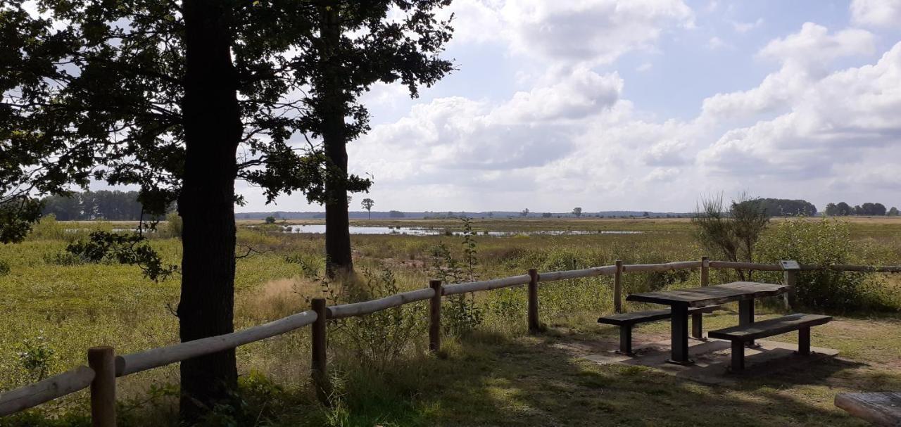 Drentse Bungalow In Natuur En Rust Spier Exteriér fotografie